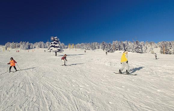 Alkoclar Chalet Hotel 부루사 외부 사진